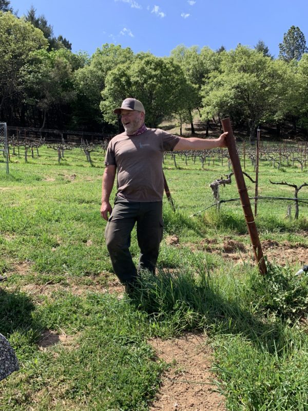 man in vineyard