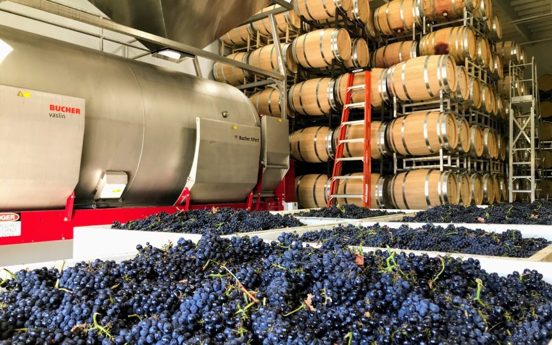 Enology and Viticulture
