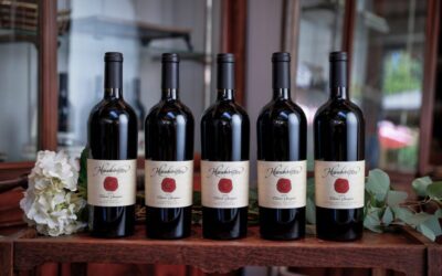 Why Does Cabernet Sauvignon Pair So Well with Red Meat? The Science, Explained.