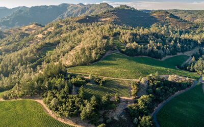 Howell Mountain AVA