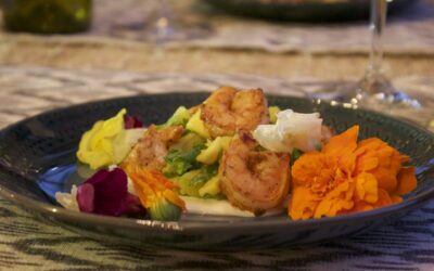 Mango Shrimp Salad Recipe