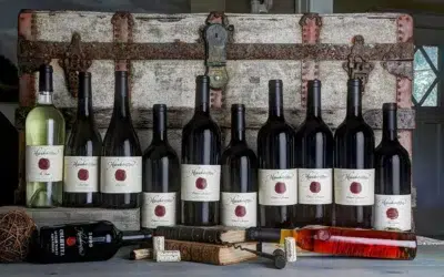How to Choose a Wine Club in Napa Valley: A Buyer’s Guide