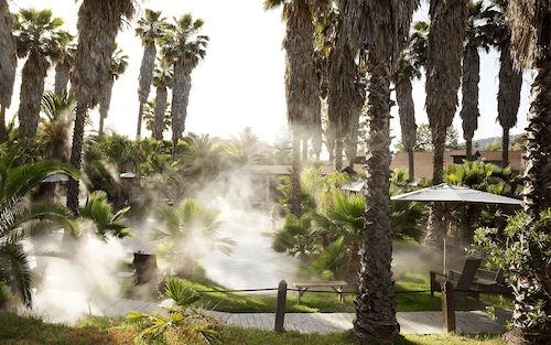 spa outdoor with trees