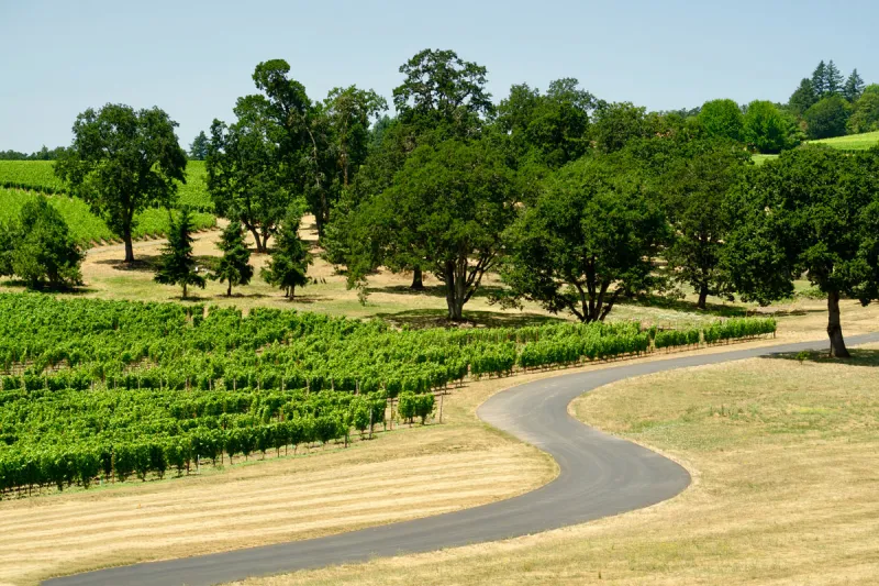 Oak Knoll AVA Napa Valley